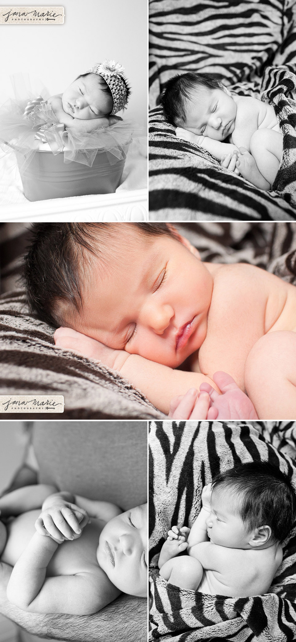 2012 photography, KC children, Jana Marler, Zebra blanket, bundled baby, newborn photography