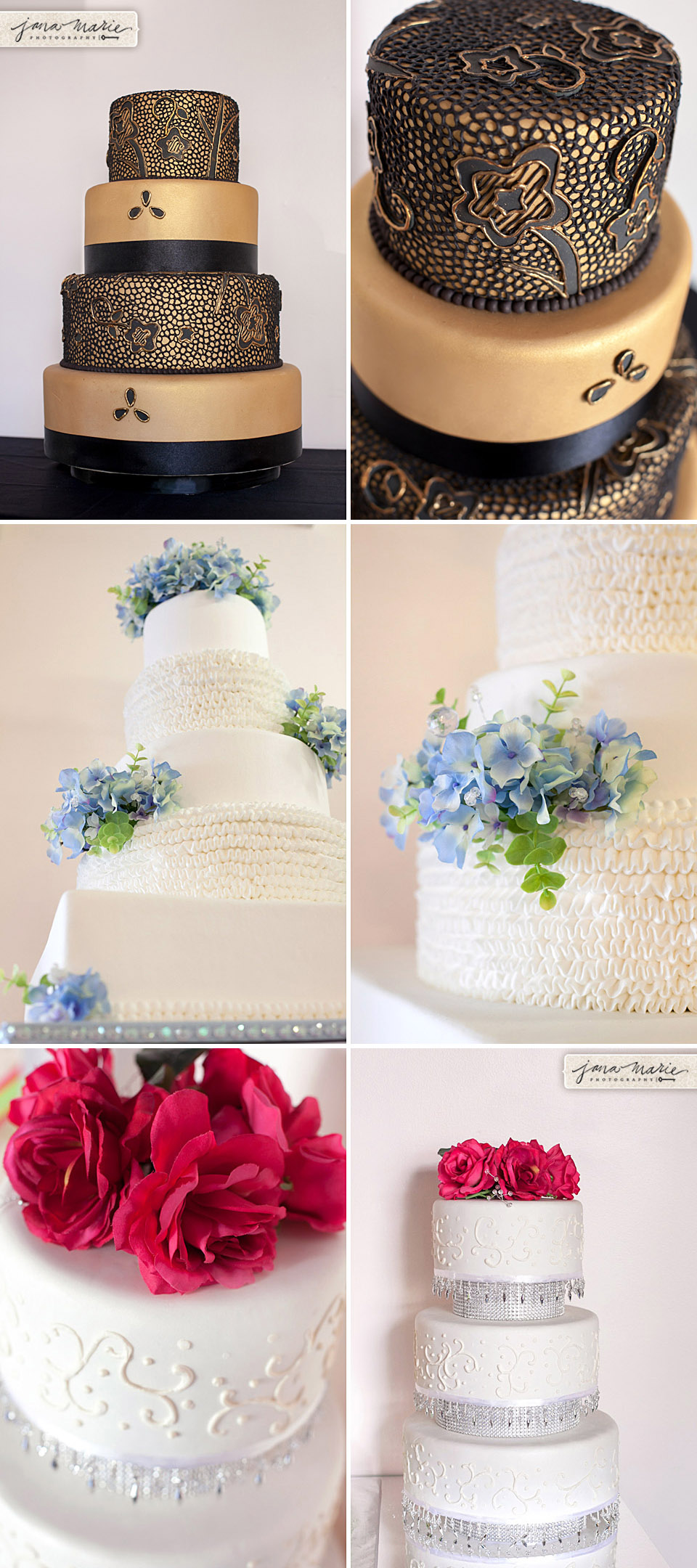 Blue flowers, tall cakes, expensive cake, Jana Marie Photos, Roses, lace cake, unique reception, cutting of cake, bride and groom
