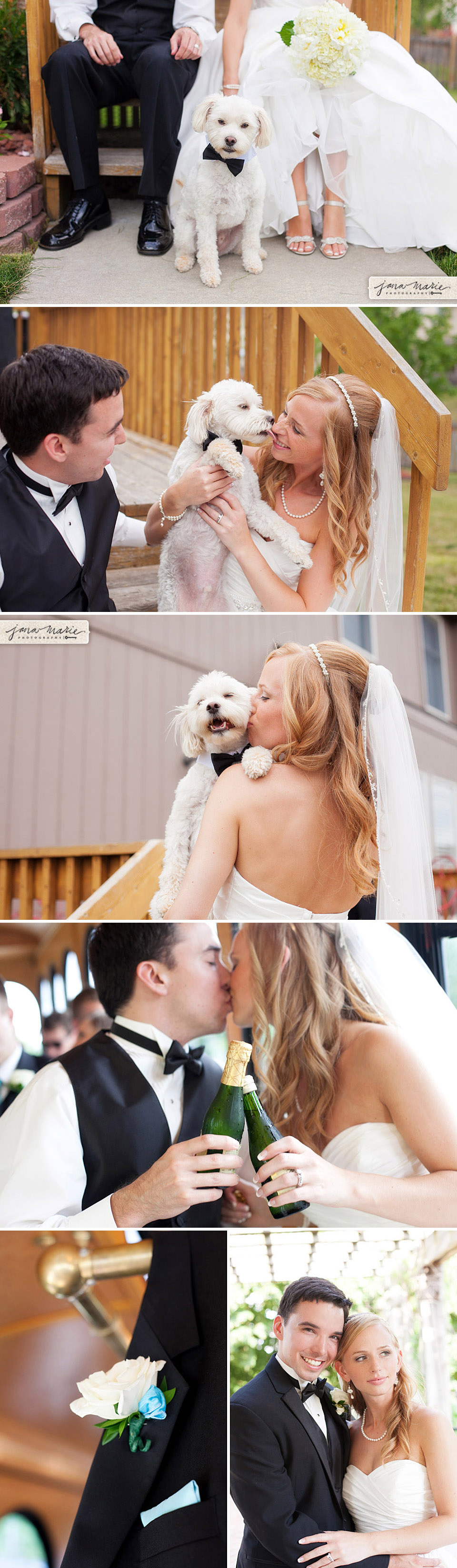 Puppy, Ring boy, Bow tie on dog, Bride and groom portraits, KC wedding photography, Jana Marler