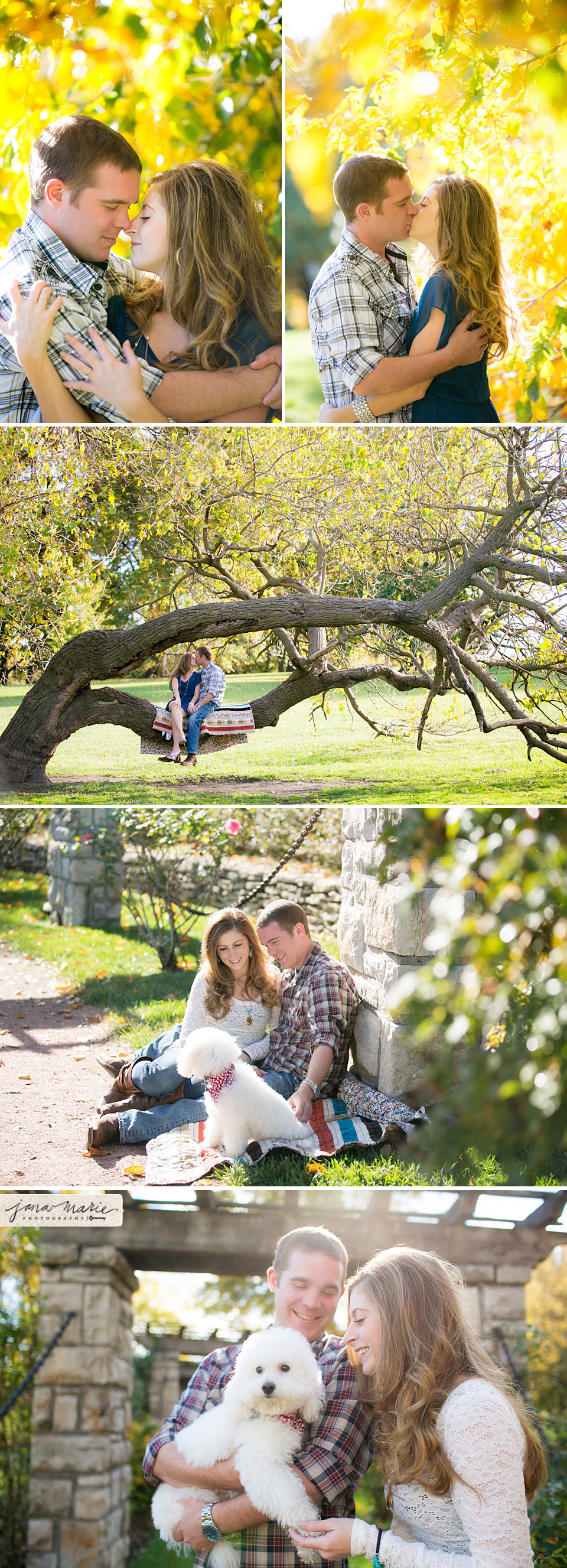 Fall engagements, Loose Park, Jana Marie Photography, big trees