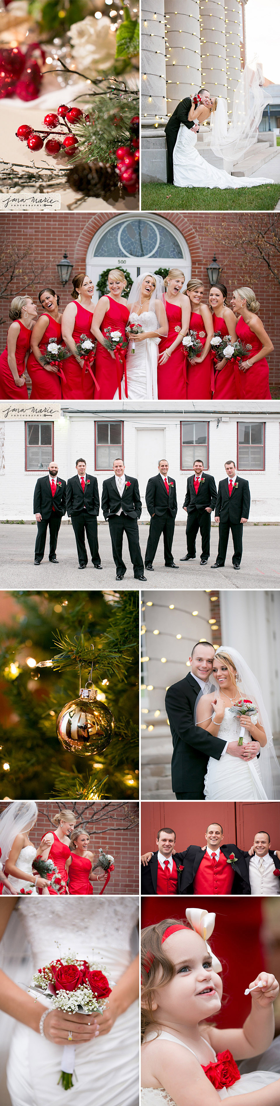 Bridal party, bride and groom, Ornaments, Christmas trees, winter receptions, Jana Marie photos