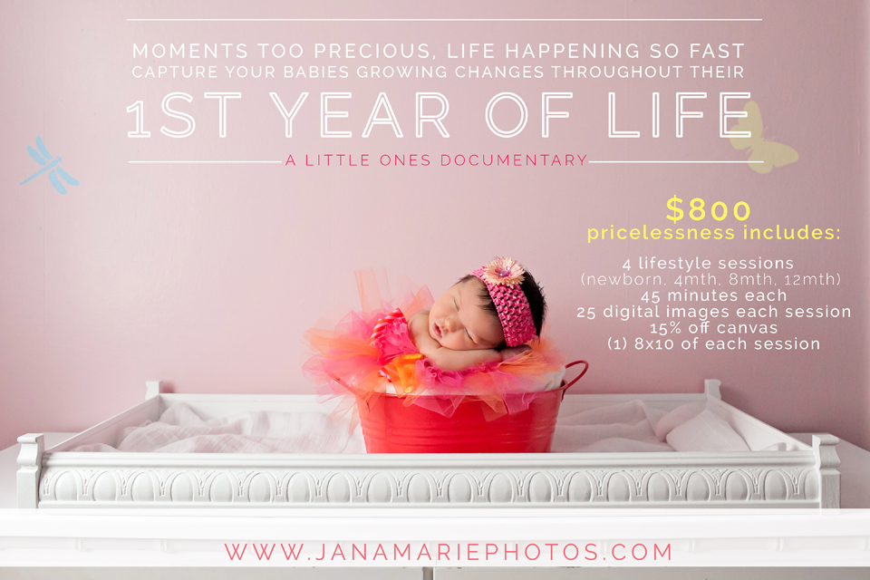 1 year of life, documentation, Baby portraits, newborn photography, Jana Marie