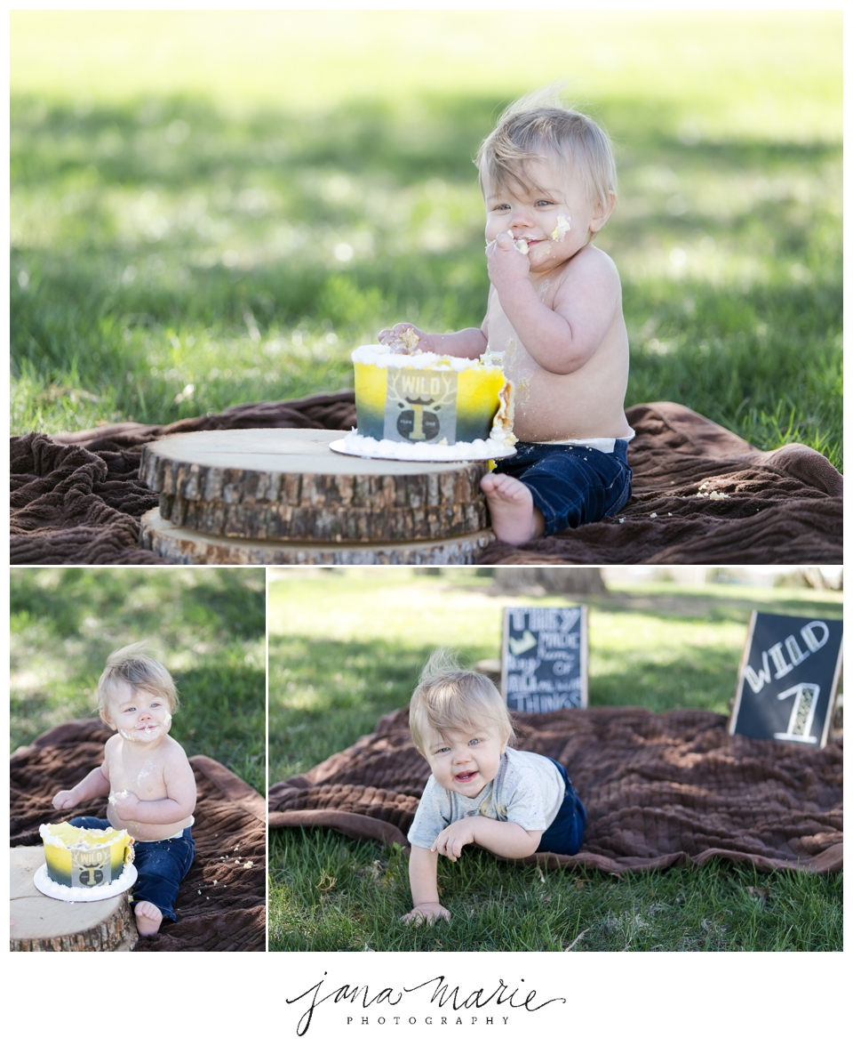 First birthday, One year old, Cake smash, Children photographer, Kids, portraits, blue springs lake, blue springs photographer