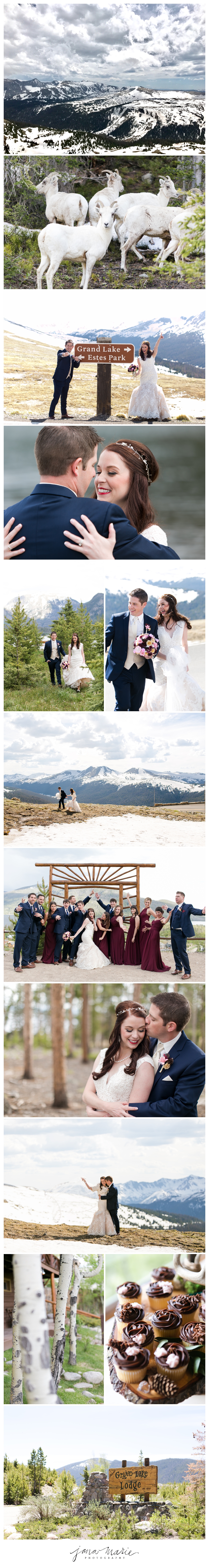 Grand Lake Lodge, Grand Lake Colorado, Colorado weddings, Rocky Mountain Bride, Trail Ridge Road, Mountains, Summer, Fox, Mountain goat, Coker, Walter, Jana Marie Photography, Destination wedding, Yellow Peony, Festive.ly, Mias Bridal and Tailoring, DJ Connections, Banana Who? Booth, Traci Morby Styling, St. Anne's Catholic Church, Bridal Solutions
