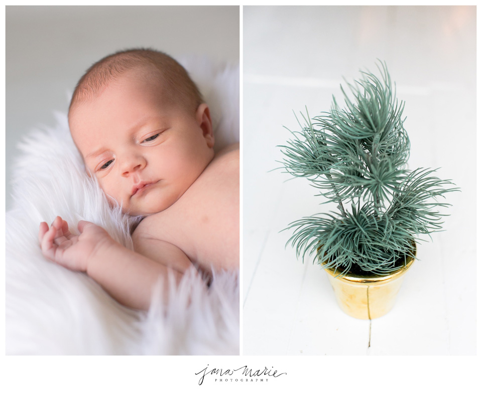Christmas Minis, Holiday portraits, Family pictures, Ashley Hotka, Good Earth Floral, Emmy Ray Design Studio