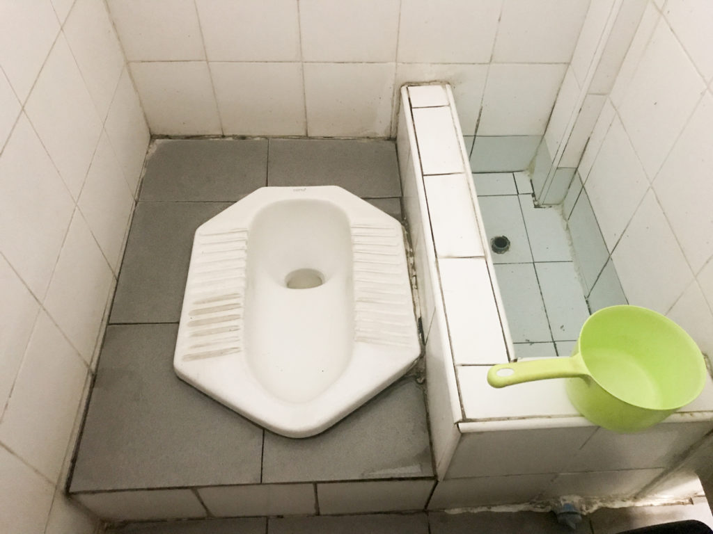 Asia squatty potty toilet